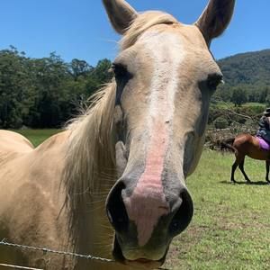 Meet your Posher, Ray